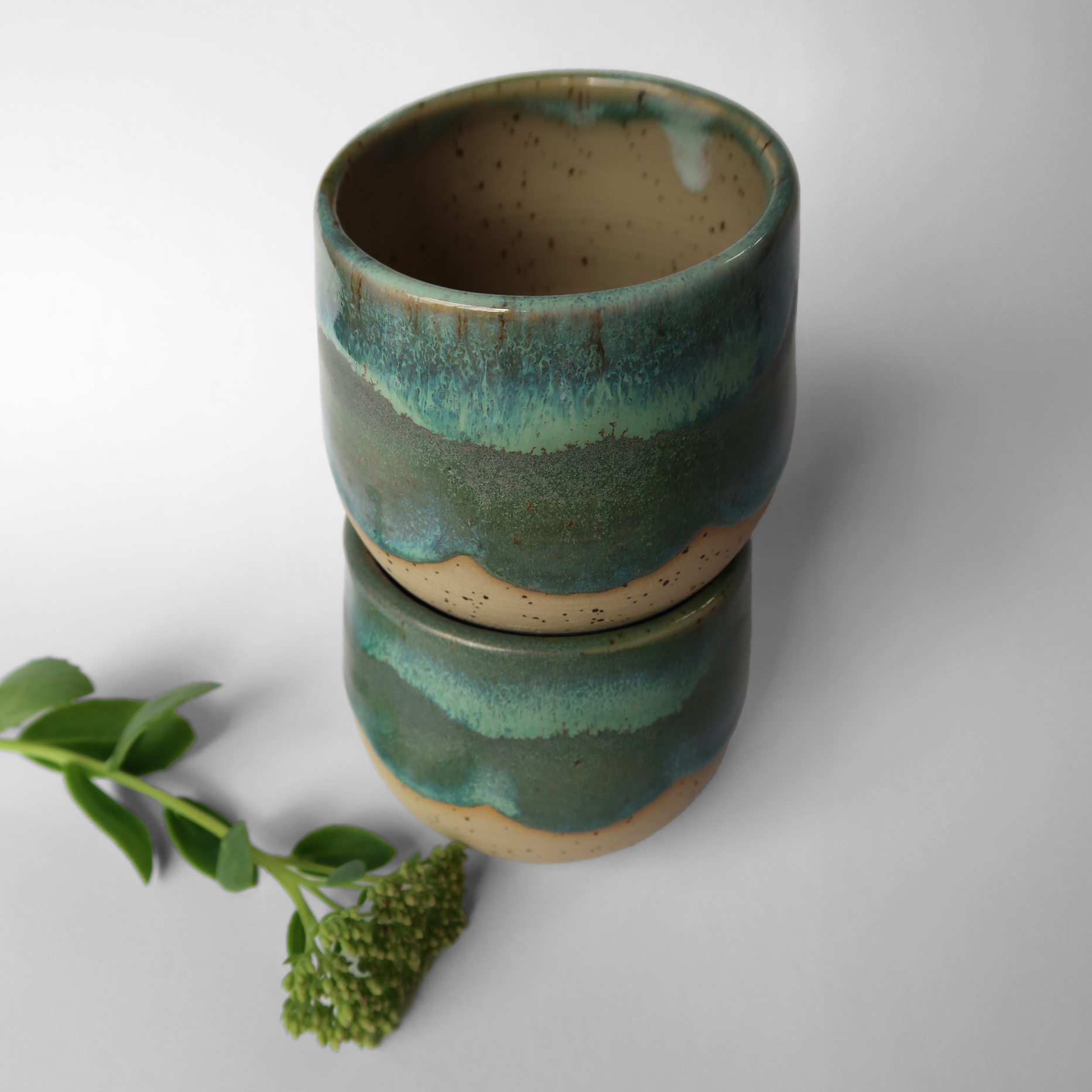 Becher gestapelt mit Pflanze